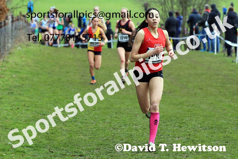 Womens Under-17s 2023 UK CAU Inter Counties Cross Country Champs, Prestwold Hall, Loughborough. Photo: David T. Hewitson/Sports for All Pics
